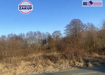 Oferta sprzedaży działki Władysławowo Bohaterów Kaszubskich 11618m2