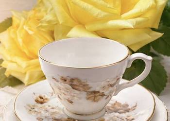 DUCHESS BONE CHINA ANGLIA 
Zestaw śniadaniowy Trio