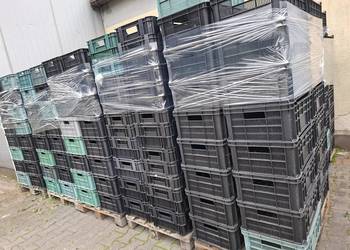 Skrzynki plastikowe owoce warzywa
