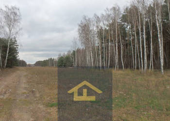 Działka budowlana w gminie Wiazowna