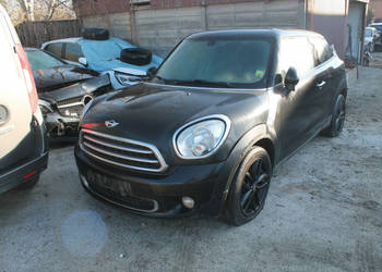 Mini Paceman