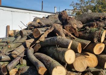 Drewno opałowe w cenie 200 zł/m3 ; PROMOCJA