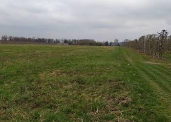 Wydzierżawie grunty orne