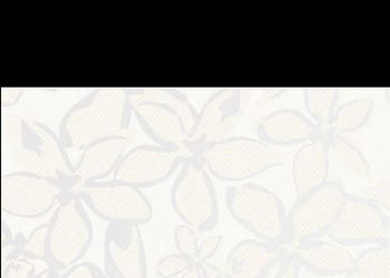 Dekor Artable bianco Alfa 25 x 40, Paradyż, płytki, kafelki, flizy