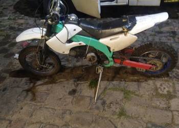 Cross Dirt bike Dino