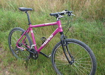Rower MTB Musing Off Road