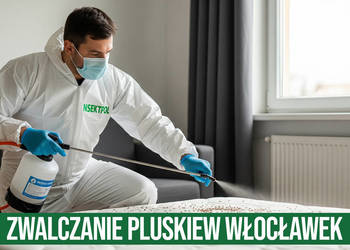 Zwalczanie pluskiew Włocławek - Odpluskwianie, Dezynsekcja