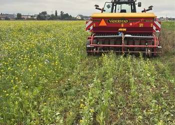 Siew wszelkiego rodzaju