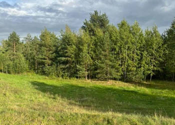 Działka 3784m2 Hołny Wolmera