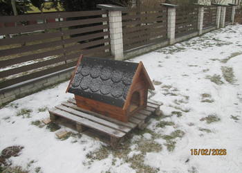 buda dla średniego psa