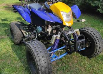 Quad Bashan BS250s