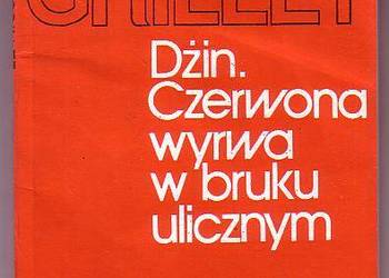 (9757) DŻIN * CZERWONA WYRWA W BRUKU ULICZNYM – ALAIN ROBBE