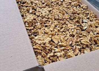 Orzechy włoskie sprzedam.