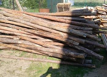 Stemple budowlane drewniane 2,7 do 3 m - 130 szt, ROSANÓW/Zgierz