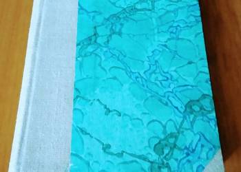 Wspomnienia i przyczynki historyczne / Jan Rzepecki.