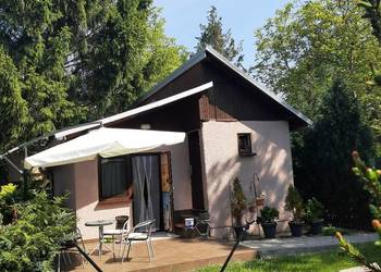 Działka ROD Morysin Wilanów