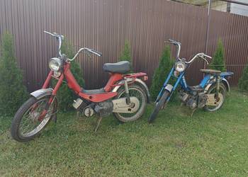 Suzuki Eko