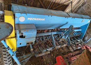 Siewnik poznaniak