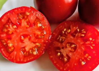 i Silver Fire Tree  Karłowy plenny nasiona 2025 eco