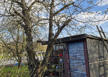 OGRÓDEK DZIAŁKOWY NA KLECINIE ROD PRZYJAŹŃ