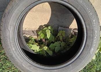 Opona letnia 205/55/R16