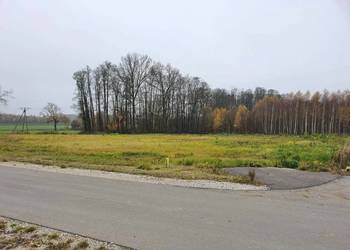 Działki budowlane 8 10 11 12 arów Dąbrowa Tarn. Bagienica 11 900/1ar