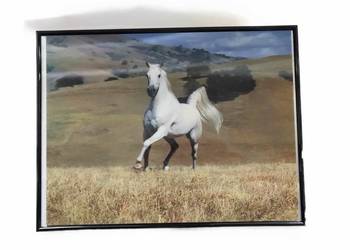 Obraz Obrazek 3 D koń morze natura kwiaty zwierzęta  30 40 cm