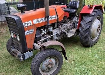 Massey ferguson 255 nie ursus