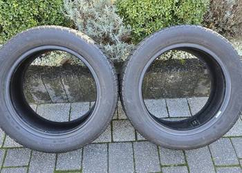 Opony zimowe 205/55/16 cali 91T Dębica  Frigo 2szt.