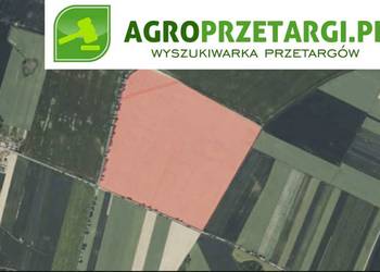 Dzierżawa 52,55 ha gruntu rolnego