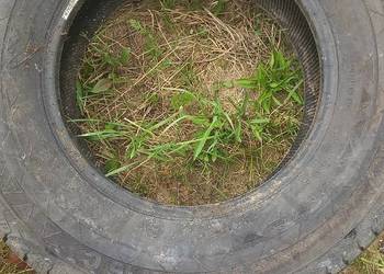 Opona do busa Continental  225/75/16C