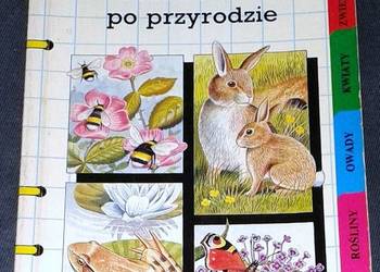 Zaobserwuj to! Przewodnik po przyrodzie - Rosy Border