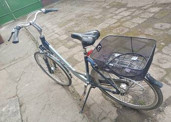 Rower damski horederski