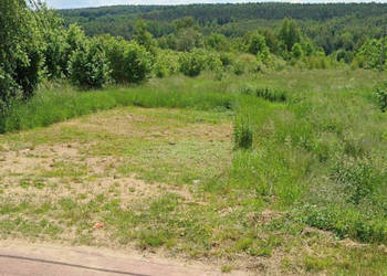 Oferta sprzedaży działki Mniów 5000 metrów