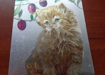 pocztówka błyszcząca czysta