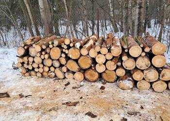 Drewno opałowe sosnowe