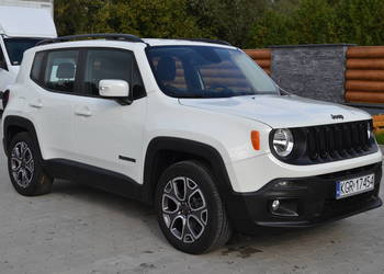 Jeep Renegade 1.6 E-torQ Night Eagle