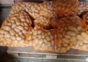 sprzedam workowane ziemniaki