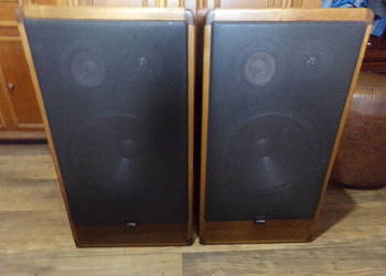 Kolumny Canton CT - 1000 w bardzo dobrym stanie .