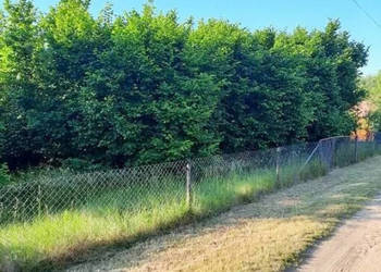 Działka 4800m2 Narew