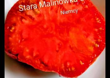Stara Malinówka Babcina S.S Niemcy kolekcjonerskie