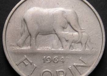 MALAWI 1 FLORIN 1964 - SŁONIE