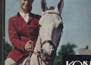 Koń i jeździec Koń i jeździec