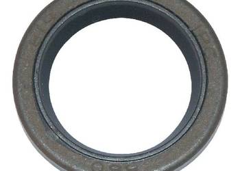 Pierścień uszczelniający wału 299819S