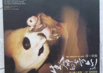 Film DVD Cud życia: Panda 51 gramów
