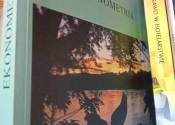 Ekonometria podręczniki szkolne księgarnia internetowa Praga