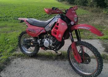 Aprilia RX 50