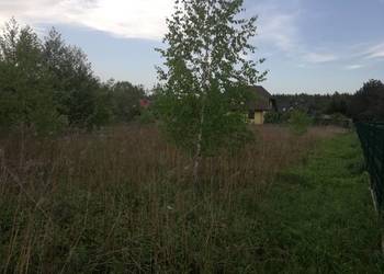 Wilcza Góra, przy Polnej