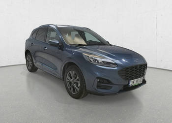 Ford Kuga Poleasingowe.pl BZ III (2019-)