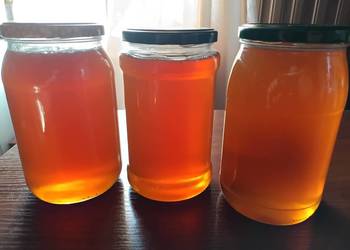 Miód z własnej pasieki